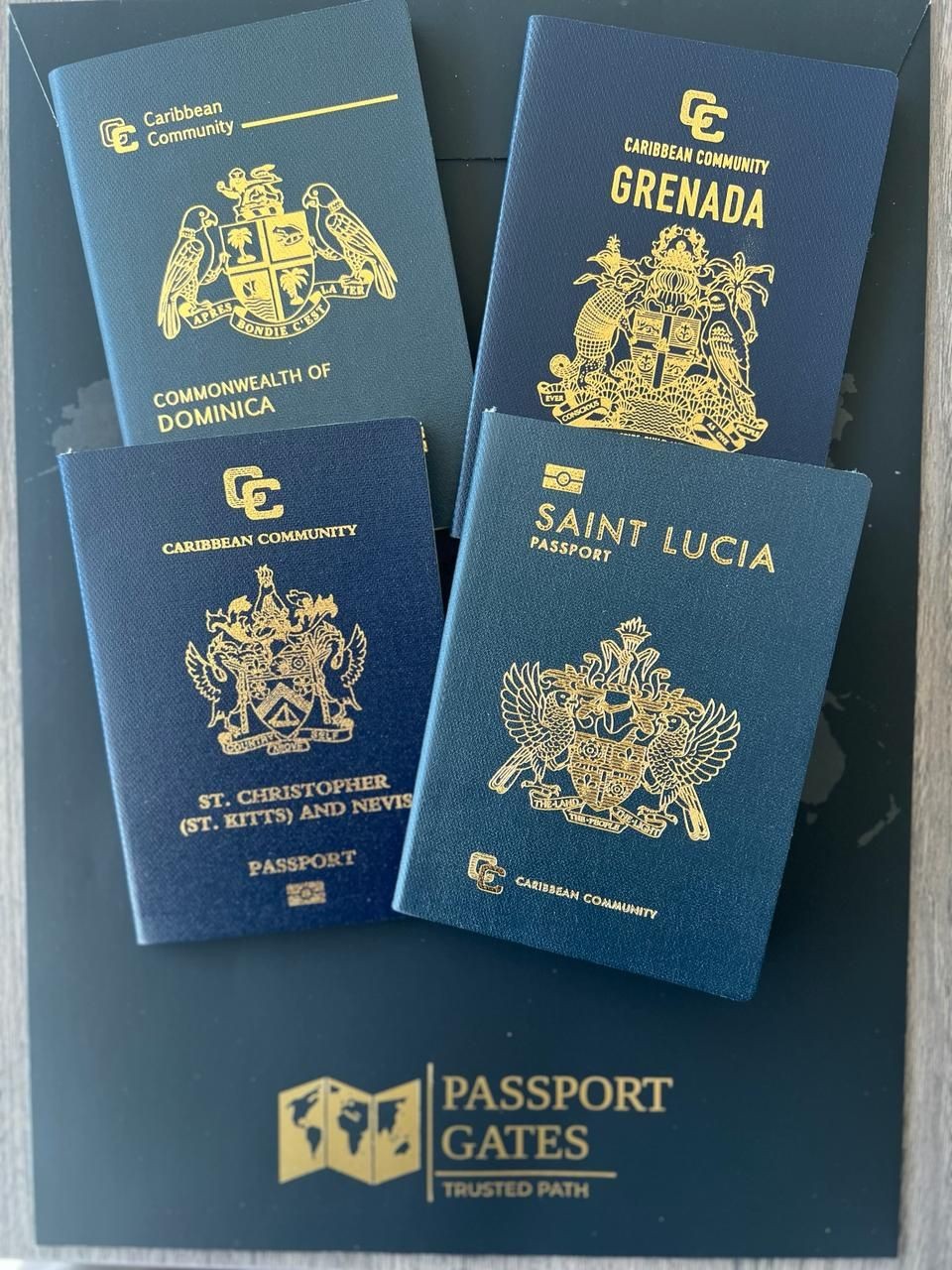 Dual Citizenship Solutions